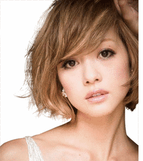 COCOの画像