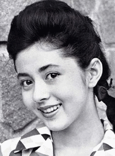 鰐淵晴子の画像