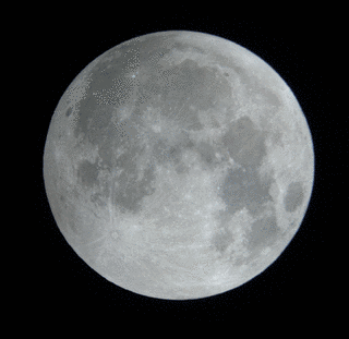LUNARの画像