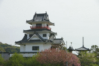 八楽会教団の画像