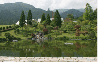 妙道会教団の画像
