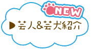 カムファターの画像