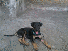 カンイの画像