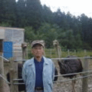 細谷洋一の画像