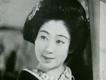 花柳小菊の画像