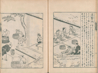 小柳輝一の画像