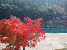三重県道53号大台ヶ原線の画像