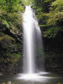 三重県道146号伊賀大山田線の画像