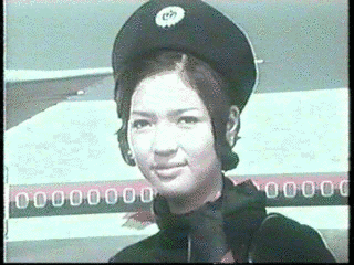 皆川妙子の画像
