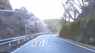三重県道683号枅川青山線の画像