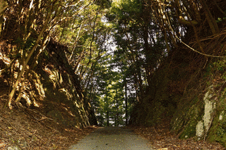 三重県道720号横輪南勢線の画像