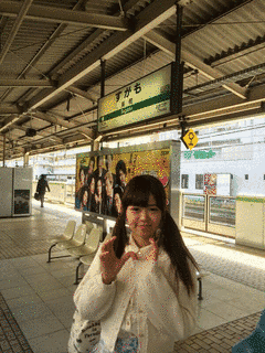 HIPS SHIPの画像