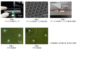 新井史人の画像