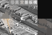今井宏明の画像