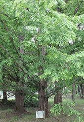 木下重教の画像