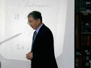 羽石操の画像