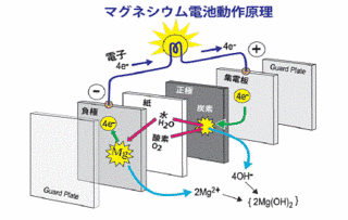 マグネシウムの画像