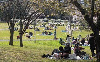 公園管理運営士の画像
