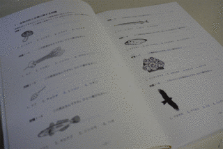 生物分類技能検定の画像