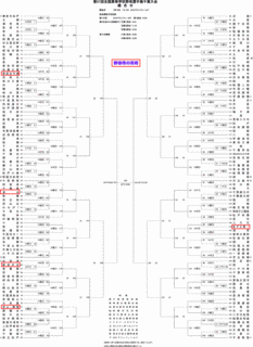 全国高等学校野球選手権千葉大会の画像