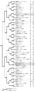 高野山旗西日本学童軟式野球大会の画像