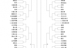 全国高等学校野球選手権大会の画像