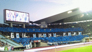 FC大阪の画像