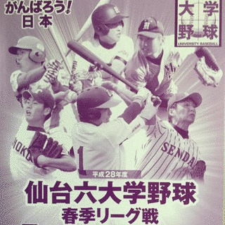 仙台六大学野球連盟の画像