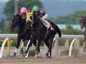 岩手県競馬組合の画像