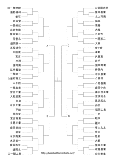 全国高等学校野球選手権岩手大会の画像