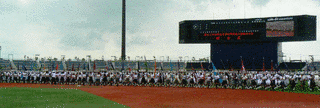 全国高等学校野球選手権大会の画像