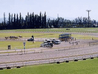 新潟県競馬組合の画像