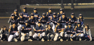 東京新大学野球連盟の画像