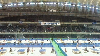 東京卓球選手権大会の画像