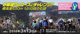 大山登山マラソンの画像