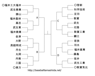 全国高等学校野球選手権福井大会の画像