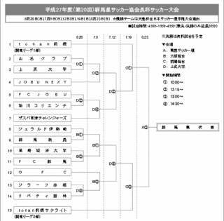 群馬県サッカー協会長杯サッカー大会の画像