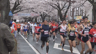 日立さくらロードレースの画像