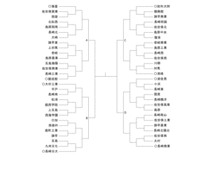 全国高等学校野球選手権長崎大会の画像