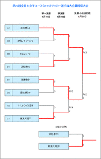 静岡県サッカー選手権大会の画像