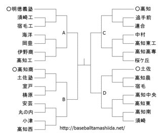 全国高等学校野球選手権高知大会の画像