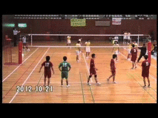 日本海バレーボールリーグの画像