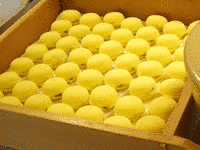 粟饅頭の画像