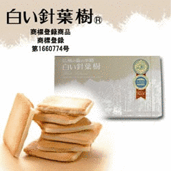 白い針葉樹の画像