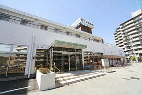 西江井島病院の画像