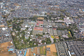 国立療養所多磨全生園の画像