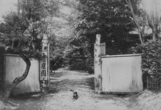 慰廃園の画像