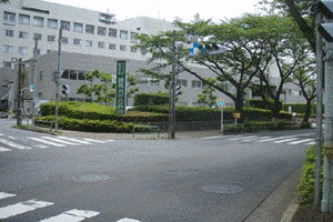 日本大学医学部付属練馬光が丘病院の画像