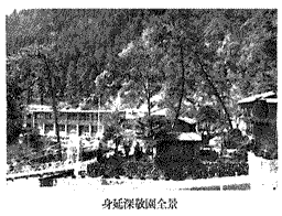 身延深敬園の画像