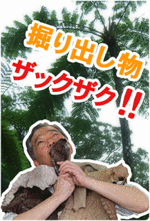 A・A・B・C〜ア・ア・ビ・チ〜の画像